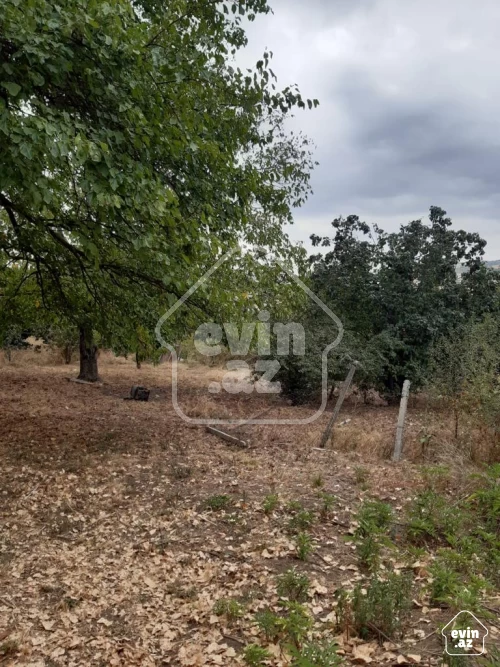 For sale Plot of land
                                                16,
                                                Ismailli ş.
 (3/6)