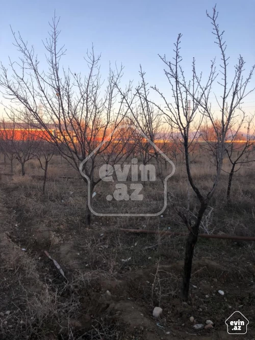 For sale Plot of land
                                                26,
                                                Nakhchivan ş.
 (2/9)