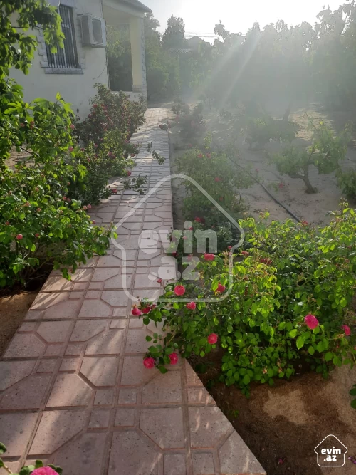 Rent Garden house
                                                250 m²,
                                                Bilgah  (2/13)