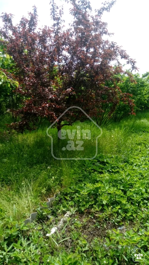 For sale Garden house
                                                73 m²,
                                                Khachmaz ş.
 (8/18)