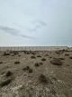 Satılır Torpaq sahəsi kiçik ölçülü şəkli